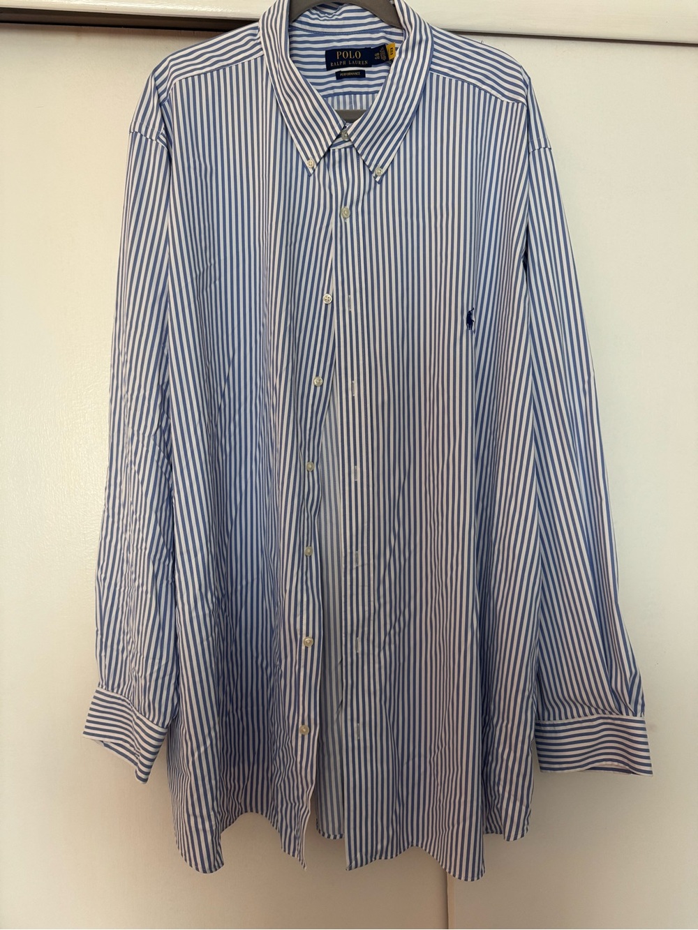 Polo by Ralph Lauren Blue and White Stripe Performance Button-Down Shirt